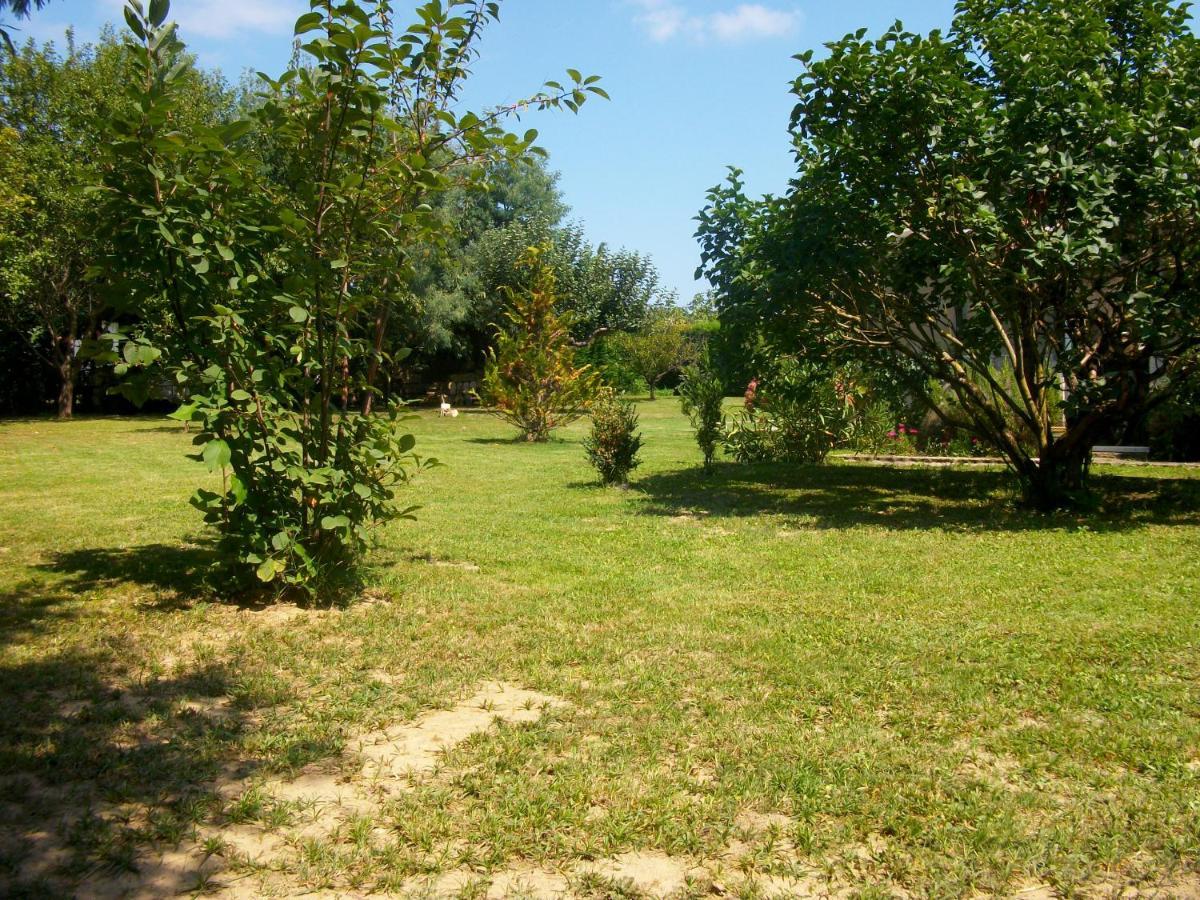 Domaine De Monein Saint-André-de-Cubzac Exterior foto